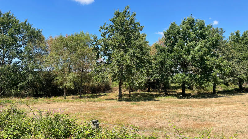 Terrain - 422 862 m²