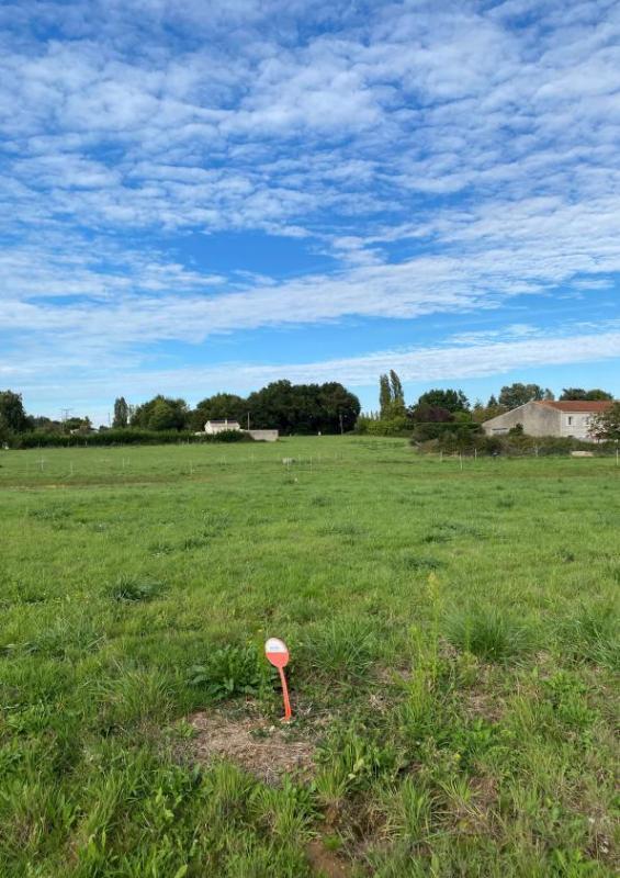 Terrain constructible - 565 m²