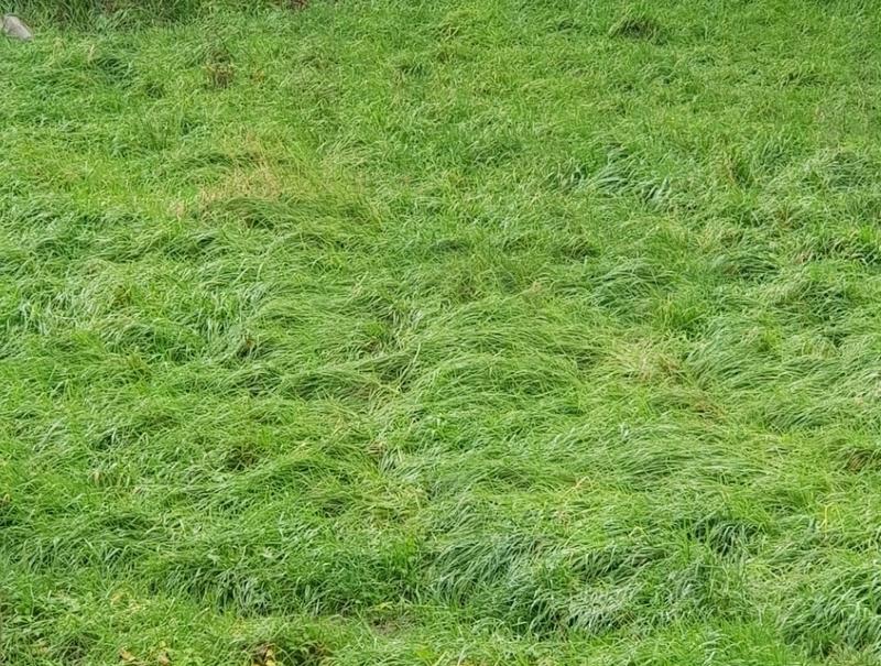 Terrain agricole - 87 608 m²