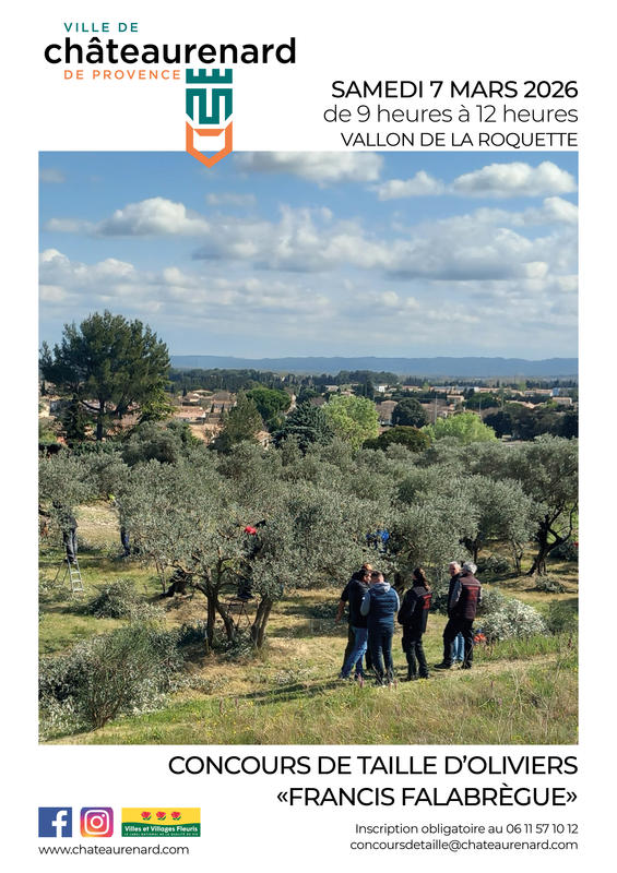 Concours "Francis Falabrègue" de taille des oliviers