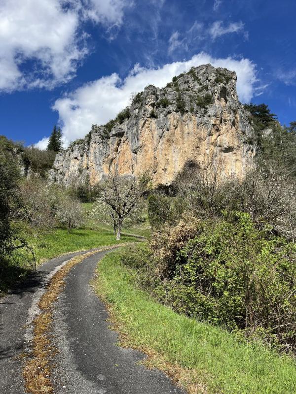 Local d'activité / Entrepôt - 372 m² - 1 pièce