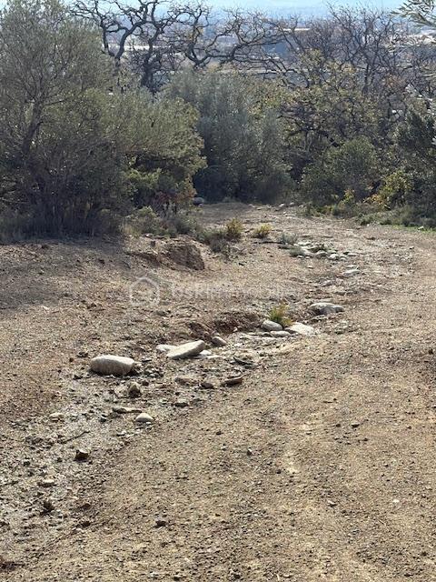 Terrain agricole - 6 375 m²