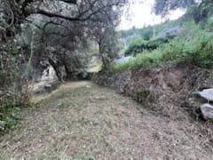 Terrain constructible - 380 m²