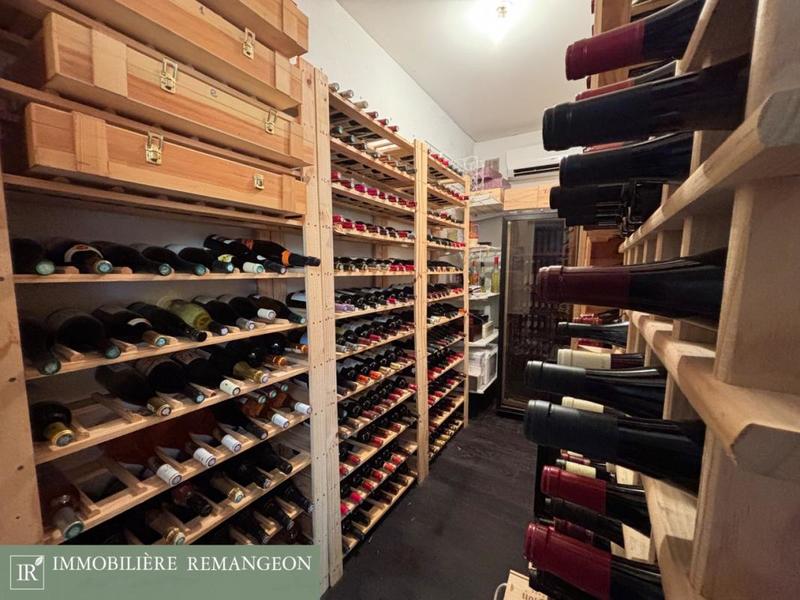 Propriété - 349 m² - 7 pièces