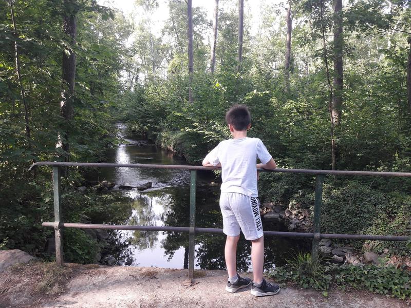 Visite commentée du sentier botanique