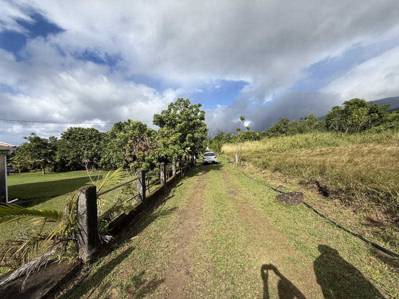 Propriété - 245 m² - 9 pièces