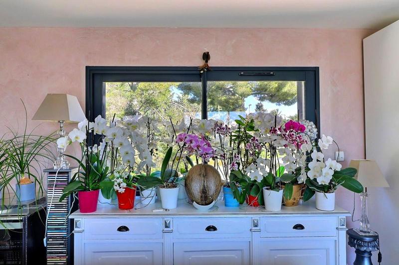 Demeure - 220 m² - 7 pièces