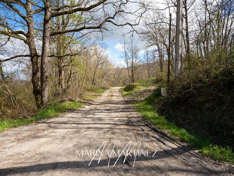 Maison - 347 m² - 8 pièces