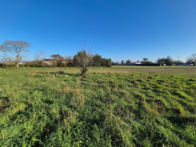 Terrain - 1 534 m²