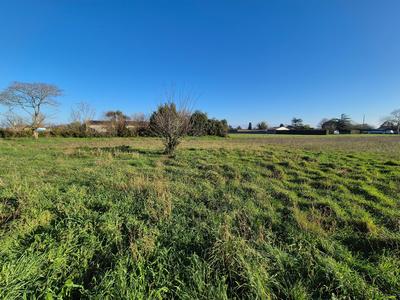 Terrain - 1 534 m²