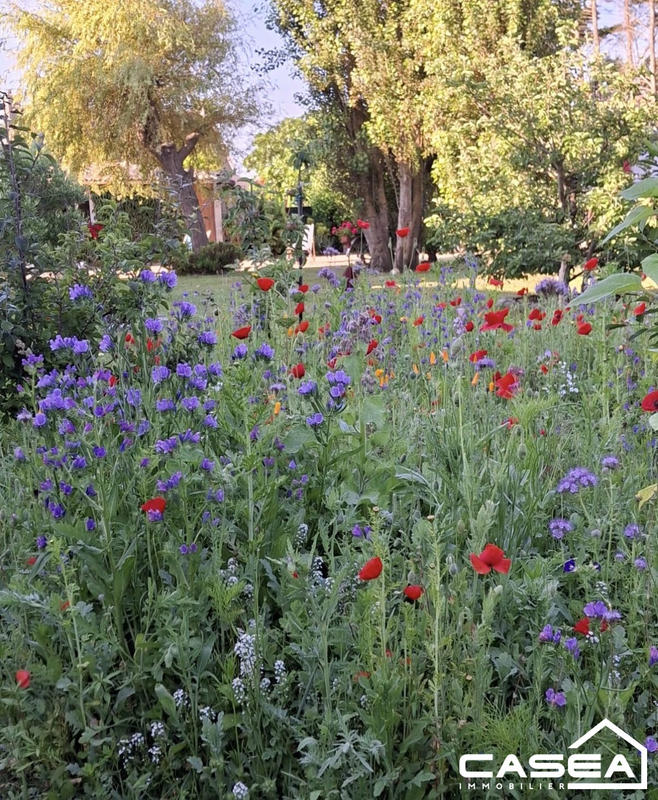 Maison ancienne - 110 m² - 5 pièces