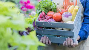 Marché Hebdomadaire de Saint Germain du Teil