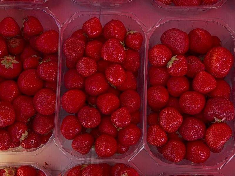 Marché de Sully-sur-Loire - Lundi