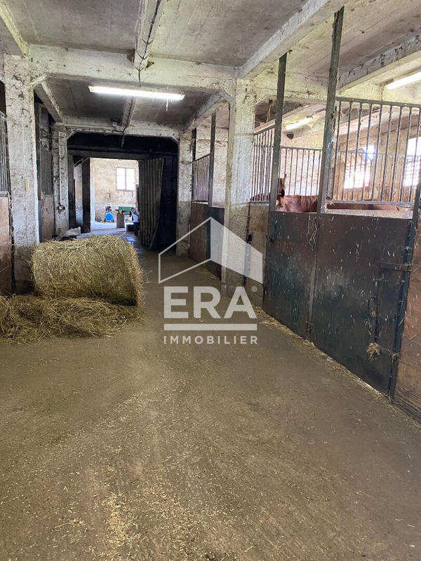 Maison de domaine équestre - 190 m² - 8 pièces