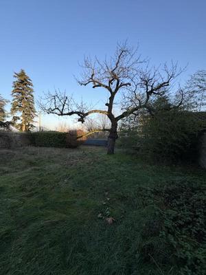 Terrain constructible - 300 m²