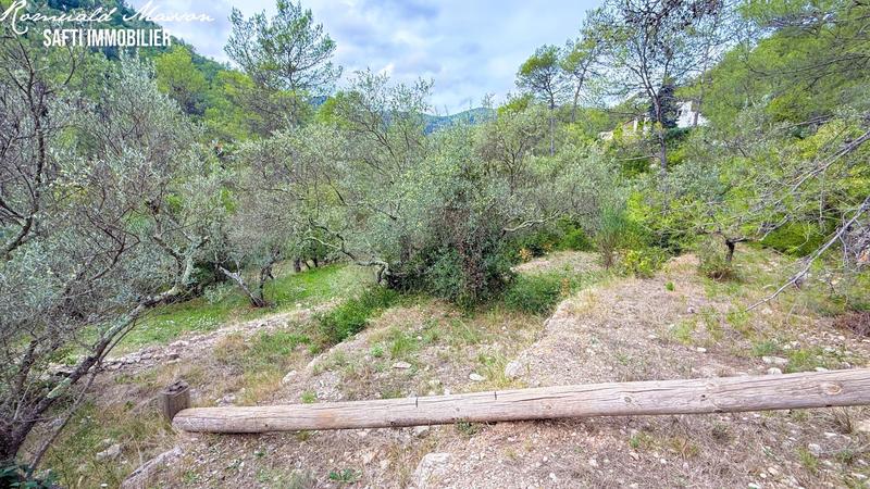 Terrain - 2 551 m²
