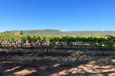 Bastide - 490 m² - 17 pièces