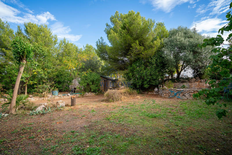 Viager - Maison - 202 m² - 7 pièces