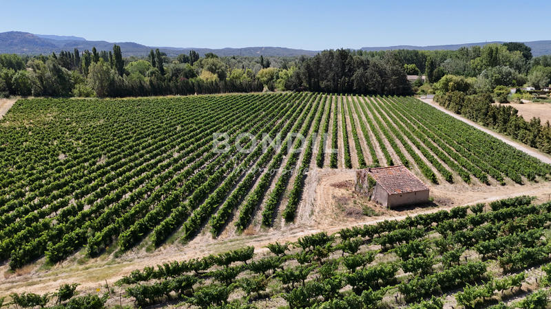 Terrain agricole - 30 000 m²