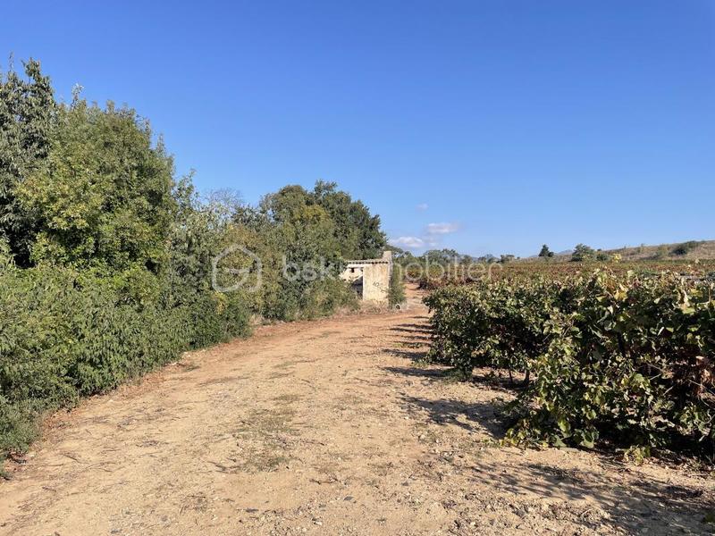 Terrain agricole - 45 000 m²