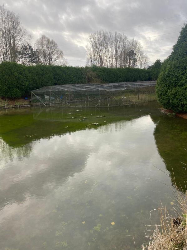 Terrain de loisirs - 7 248 m²