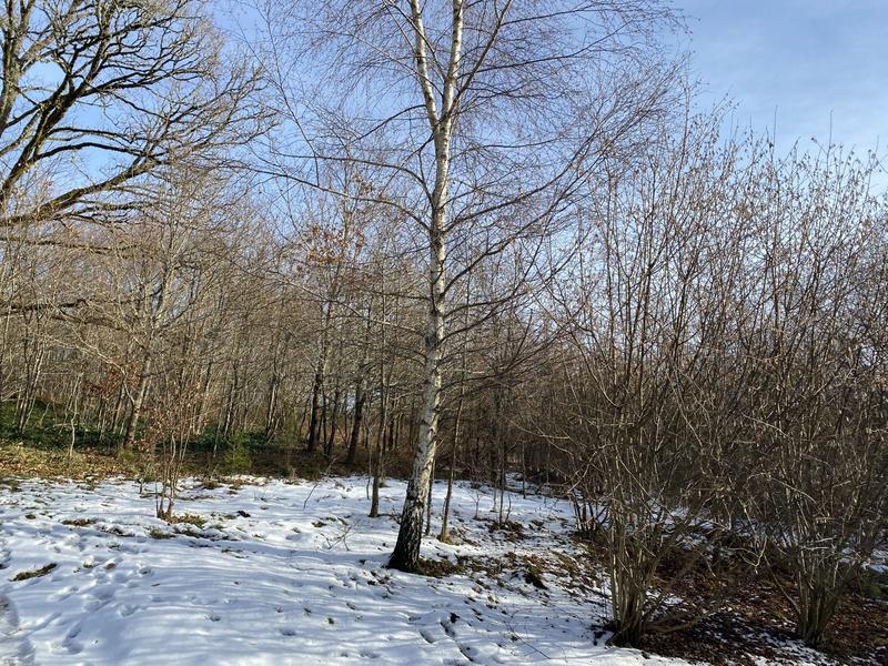 Maison ancienne - 121 m² - 7 pièces