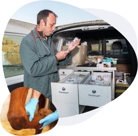 Clinique Vétérinaire des Mille Etangs