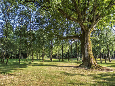 Terrain de loisirs - 13 512 m²