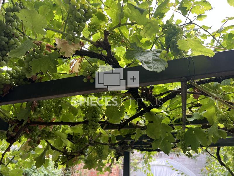 Maison - 200 m² - 7 pièces