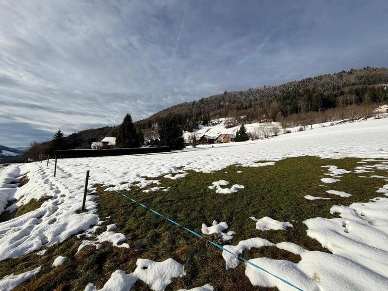 Terrain agricole - 3 678 m²