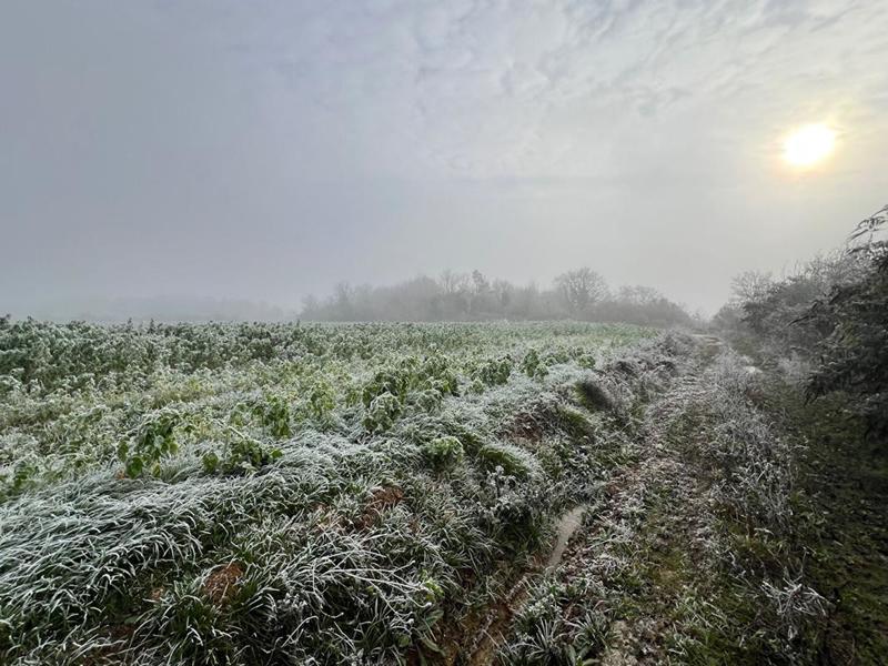 Terrain agricole - 29 728 m²