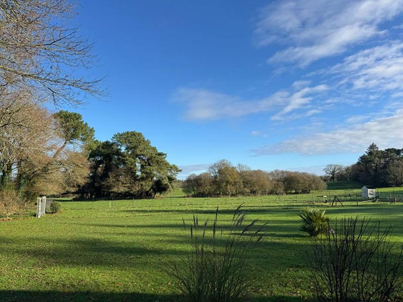 Maison - 131 m² - 6 pièces