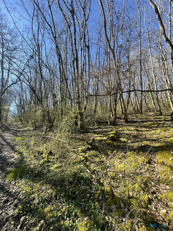 Terrain de loisirs - 3 498 m²