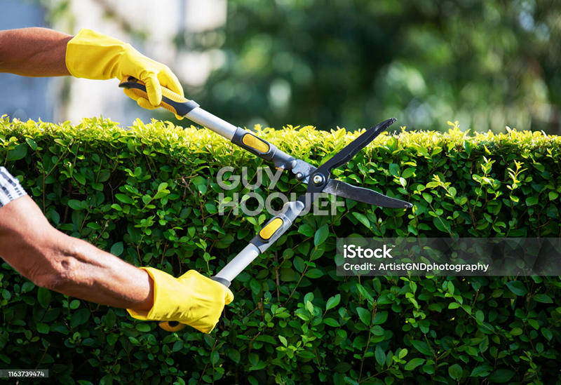 Fonds de commerce - 1 m²