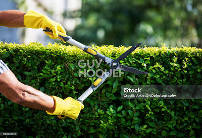 Fonds de commerce - 1 m²