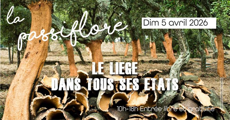 Foire aux plantes "La Passiflore" : le liège dans tous ses états
