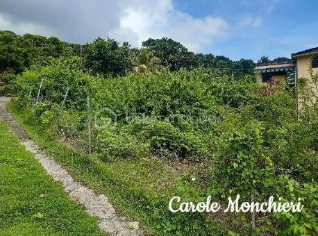 Terrain constructible - 584 m²