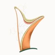 Les Lundis Musicaux : Alice Coote &amp; Julius Drake - Théâtre de l'Athénée, Paris