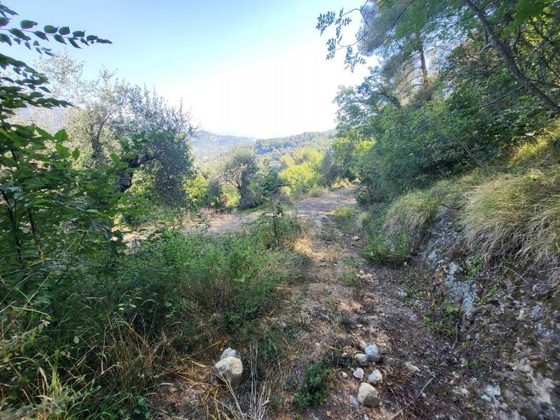 Terrain - 16 415 m²