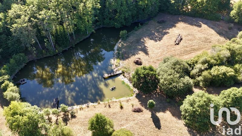 Terrain - 11 902 m²