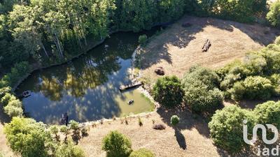 Terrain - 11 902 m²