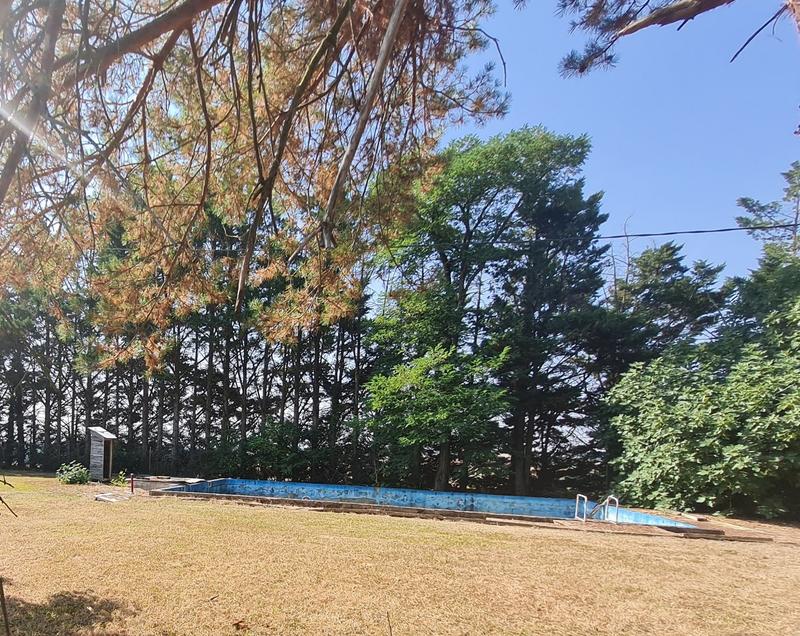 Maison - 204 m² - 7 pièces