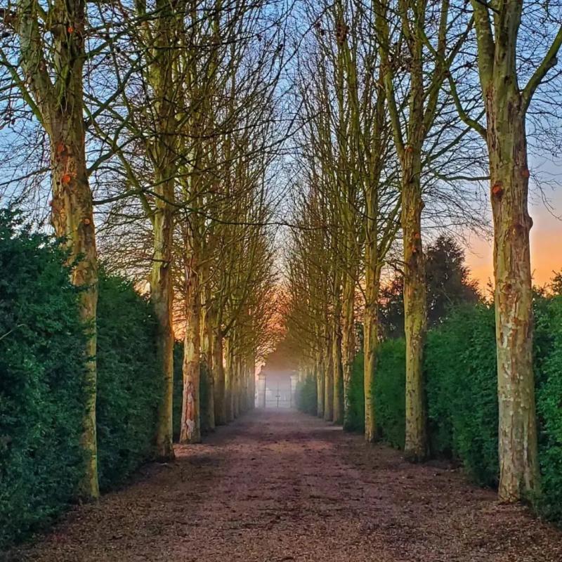 Château - 1 535 m² - 36 pièces