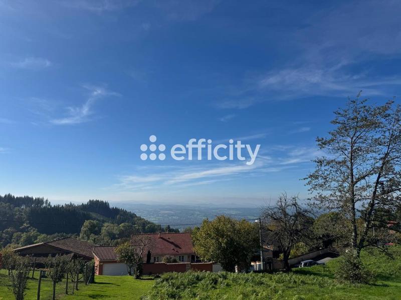 Terrain - 2 949 m²