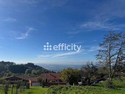 Terrain - 2 949 m²