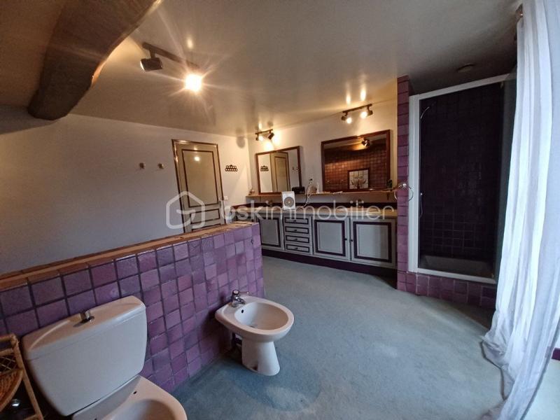 Moulin - 216 m² - 8 pièces