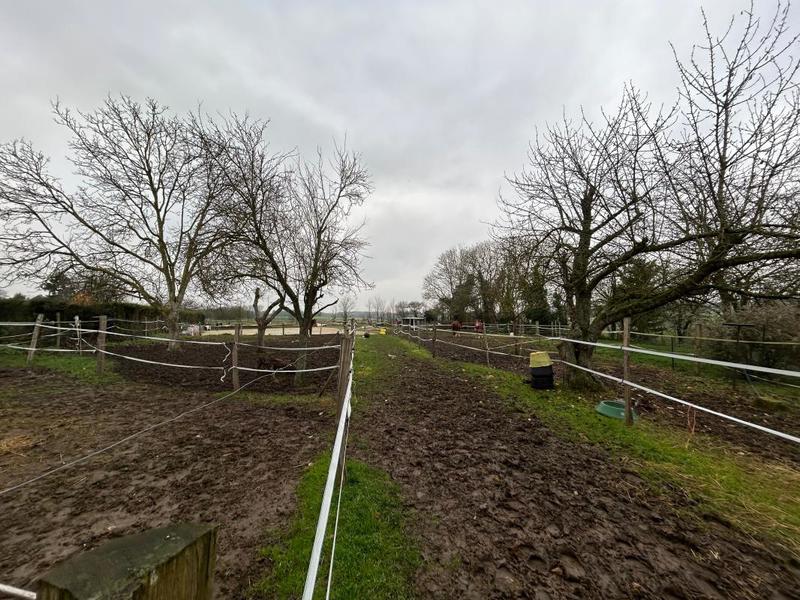 Maison de domaine équestre - 202 m² - 5 pièces