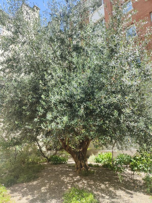 Appartement - 175 m² - 5 pièces