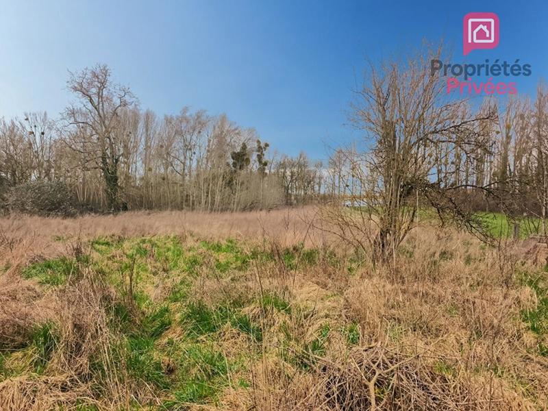 Maison - 229 m² - 8 pièces