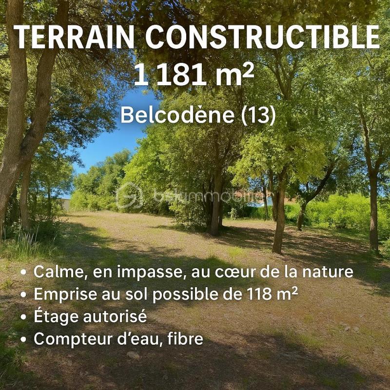 Terrain - 1 184 m²